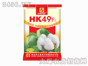 ֮-HK49F1޻